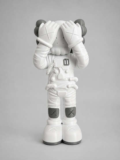 HYPEBEAST BXXM ASTRO KAWS